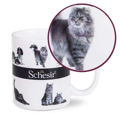 kalkomania ceramiczna nadruk cmyk