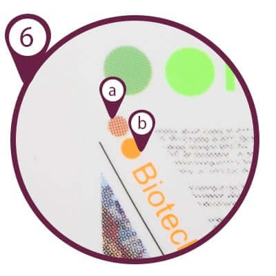 kalkomania organiczna ceramika reklamowa 